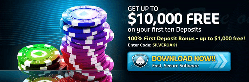 Silver Oak Casino Offer